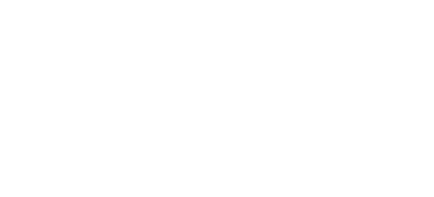 Rae Consulting